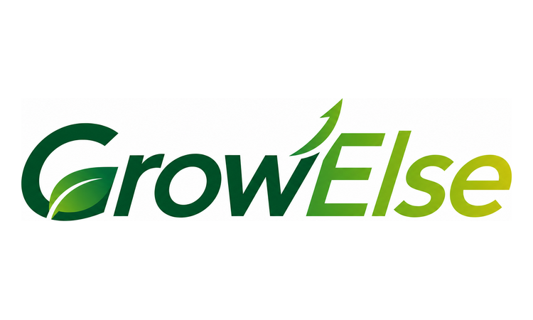 Available Business Name For Sale - GrowElse